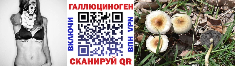 Купить  Таштагол  Галлюциногенные грибы Cubensis 